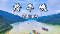 华南第一峡有多野？免费古道、西江货轮、还有意外插曲｜羚羊峡徒步Vlog