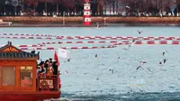 快来武汉看海，来东湖喂海鸥！！