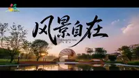 首发三圣 焕新花乡 打开三圣花乡100+美好生活