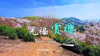苏州光福赏樱环线，闭眼冲！
