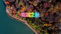 露水河国家森林公园