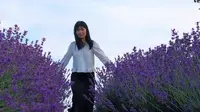 上海薰衣草公园