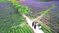 贾堌堆农家寨