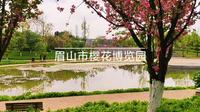 眉山市樱花博览园免费观光
