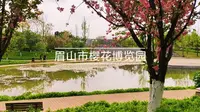 眉山市樱花博览园免费观光