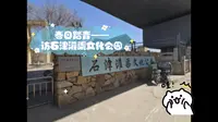 【卖萌滴倒影】春日踏青——访石津灌渠文化公园