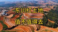 东川红土地值不值得去？
