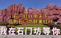 被誉为“石门红叶甲天下”的山东临朐石门坊景区，您去过吗？