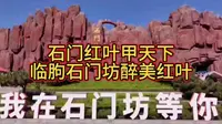 被誉为“石门红叶甲天下”的山东临朐石门坊景区，您去过吗？