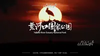 这里是黄河口国家公园