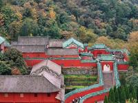 湖北教育为何这般强？武当山太子坡，“栋梁之才”已挺600余年