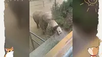 威海神雕山野生动物园