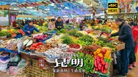 [4K HDR]春城慢生活，从清晨市集到缤纷花海的昆明漫步 | 漫游中国 | 昆明 | 云旅行 沉浸式 漫步 旅行 Pocket3 citywalk