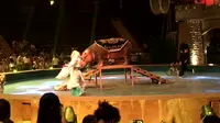 第一视角生活记录20190704淹城野生动物世界3