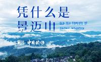 全球首个茶主题世界文化遗产，凭什么是景迈山？