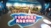 青海省博物馆看什么？十分钟带你逛完五大展室！