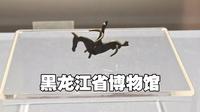 在黑龙江省博物馆给不懂文物的朋友们拍的讲解视频