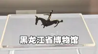 在黑龙江省博物馆给不懂文物的朋友们拍的讲解视频