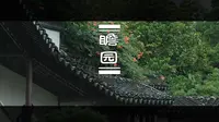 你说梅雨真烦，我说烟雨江南，算了跟你们说不清楚丨 南京 瞻园 雨景丨 4K看世界 丨 佳能R5C 4K 120p 画质