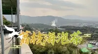 漫游漳州荔枝海，寻一伴山平台泡茶，感受闽南水乡的尘世幸福
