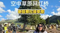 排队都要拍的那拉提网红桥，位置你找对了吗？
