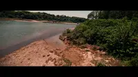江口鸟洲