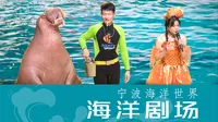 打卡宁波海洋世界之【海洋剧场】