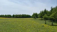【杜比视界】飞狐峪空中草原2025年6月