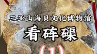 三亚山海贝文化博物馆看砗磲#山海贝文化博物馆 #三亚博物馆 #砗磲 #砗磲是什么