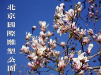 周末做摄影师，第一站打卡北京国际雕塑公园