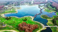 【4K】大疆航拍-上海海湾国家森林公园_mini2se