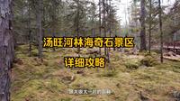 国庆来小兴安岭赏五花山，必玩汤旺河林海奇石景区，一个视频讲清楚如何玩好！