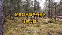 国庆来小兴安岭赏五花山，必玩汤旺河林海奇石景区，一个视频讲清楚如何玩好！