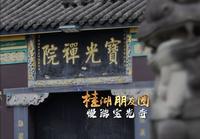 《桂湖朋友圈》｜ 慢游宝光寺