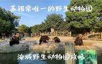 淹城野生动物园保姆级攻略