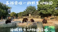 淹城野生动物园保姆级攻略