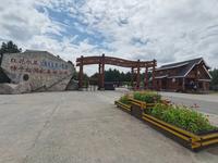 红花尔基樟子松国家森林公园