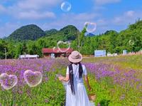 醉了醉了彝山花谷