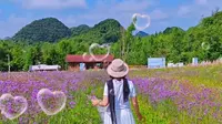 醉了醉了彝山花谷