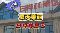 夏天康乐白桦林景区[上集]，临洮拍客