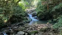 徒步江西阳明山国家森林公园