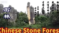 云南石林风光