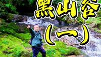 出发重庆万盛“黑山谷”，探秘“中国最美养生峡谷”