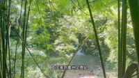 徒步崇州凤栖山康道，街子古镇到光严禅院，风景秀丽吸氧健身