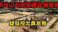 武当山五龙宫遗址被发掘，疑似挖出真龙骨，池底还镇压五条龙