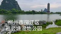 广西柳州市柳江区岜公塘湿地公园