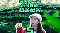 来到普洱的第一站，我去了茶马古道～ 超详、超全纪实！我们为这里即兴了一首音乐～