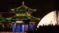 「千年濠河 百年好合」沉浸式穿越光影通城！｜“濠河夜画”国庆实景游船演艺全程实拍