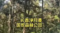 长春净月潭国家森林公园