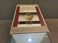 临沂王羲之故居晋墓博物馆部分文物2